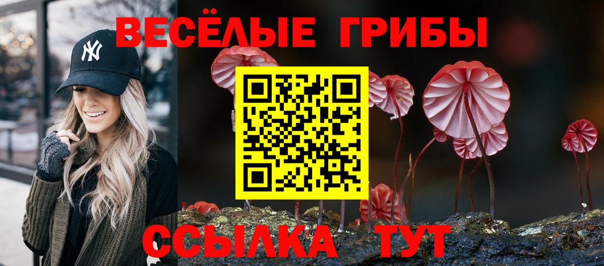 Псилоцибиновые грибы Psilocybe  Вход с VPN  Холмск 