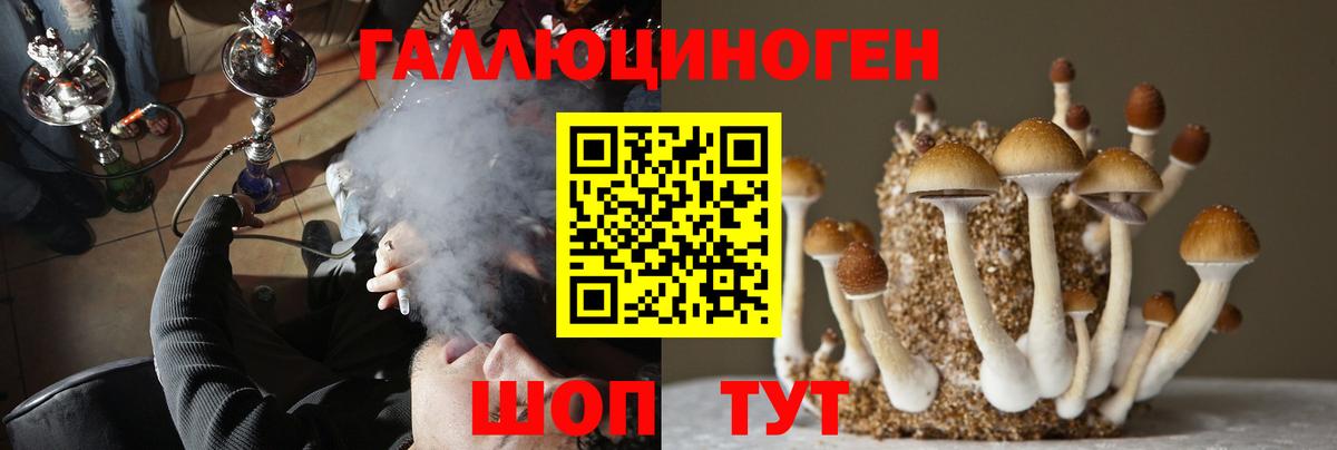 Галлюциногенные грибы прущие грибы Холмск